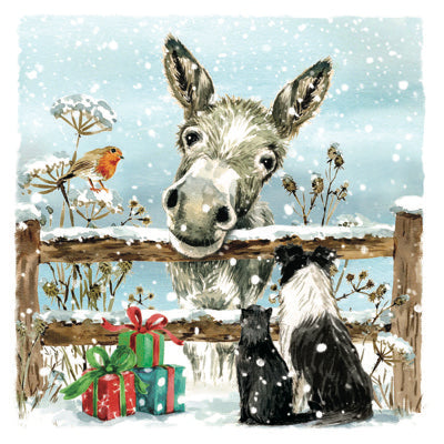 Donkeys & Friends Cards