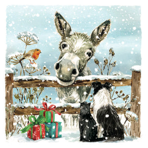 Donkeys & Friends Cards