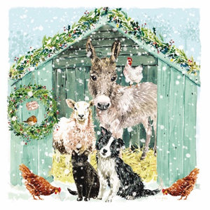 Donkeys & Friends Cards