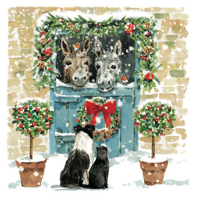Donkeys & Friends Cards