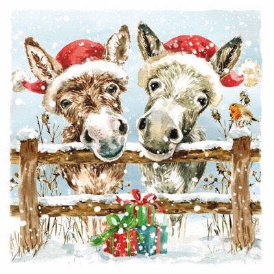 Donkeys & Friends Cards