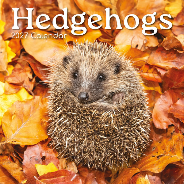 Hedgehogs 2027