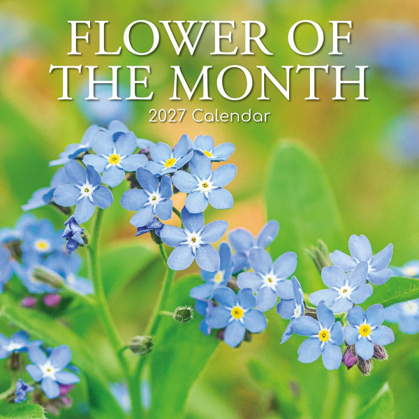 Flower Of The Month 2027 Calendar