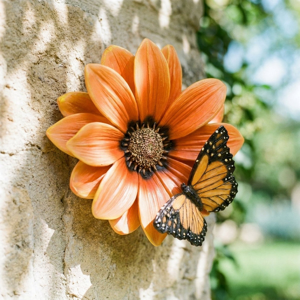 African Daisy Butterfly