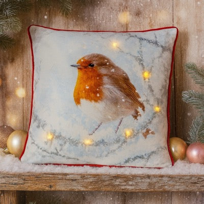 Winter Robin Cushion