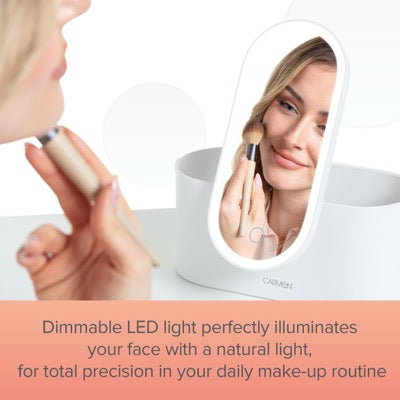 Portable LED Mirror Cosmetic Case