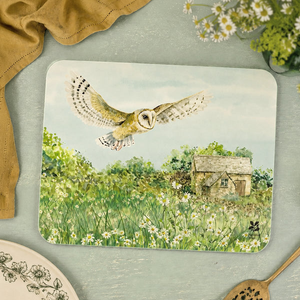 Barn Owl Worktop Protector