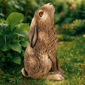 Moon Gazing Hare