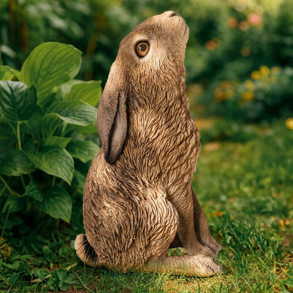 Moon Gazing Hare