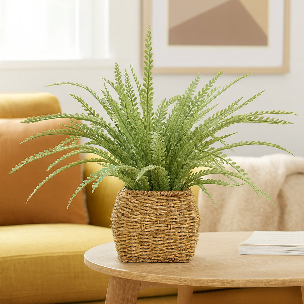 Fern In Seagrass Basket