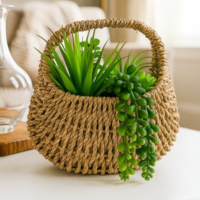 Succulent in Handbag Basket