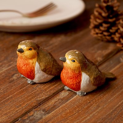 Robin Salt & Pepper Pots