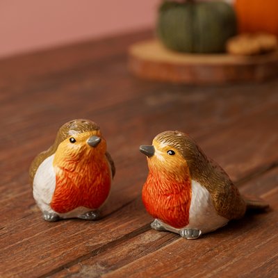 Robin Salt & Pepper Pots