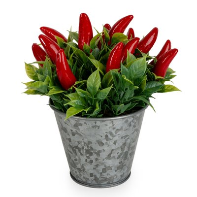 Faux Chilli Plant