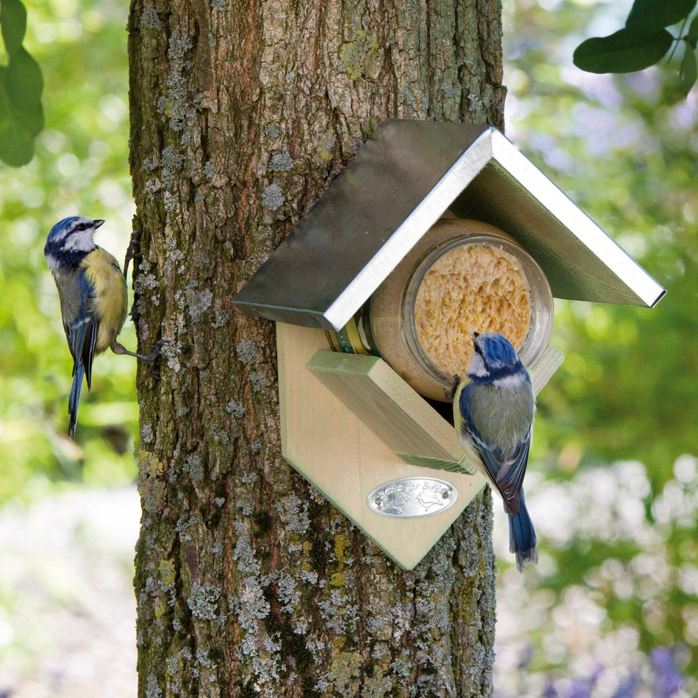 Peanut Butter Feeder with Zinc Roof