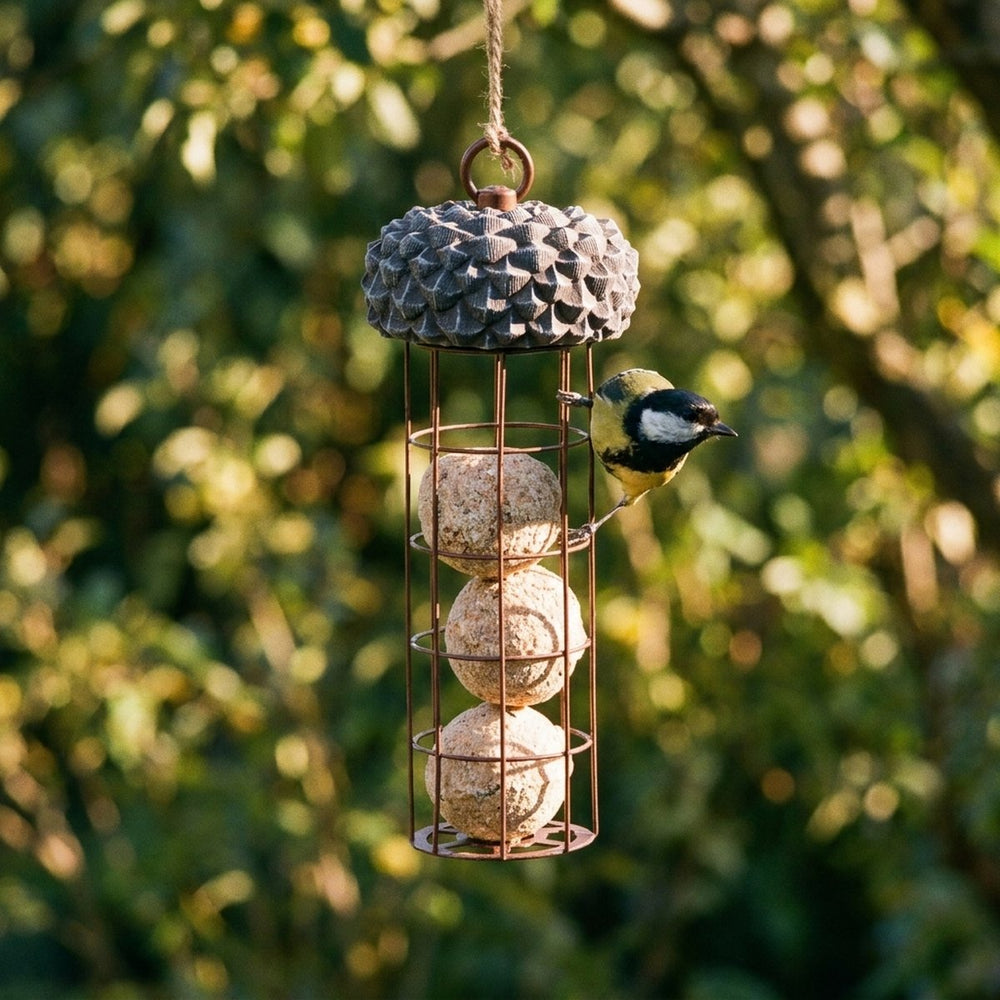 Acorn Suet Ball Dispenser