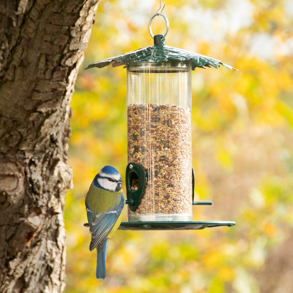 Leaf Capped Seed Feeder