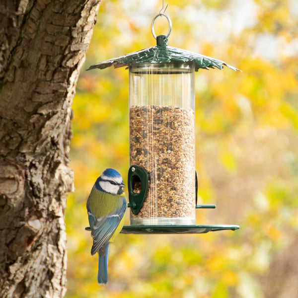 Leaf Capped Seed Feeder