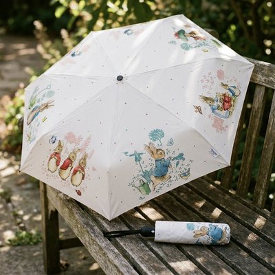 Peter’s Rainy Day Umbrella
