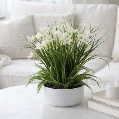 White Potted Crocus