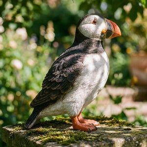Puffin