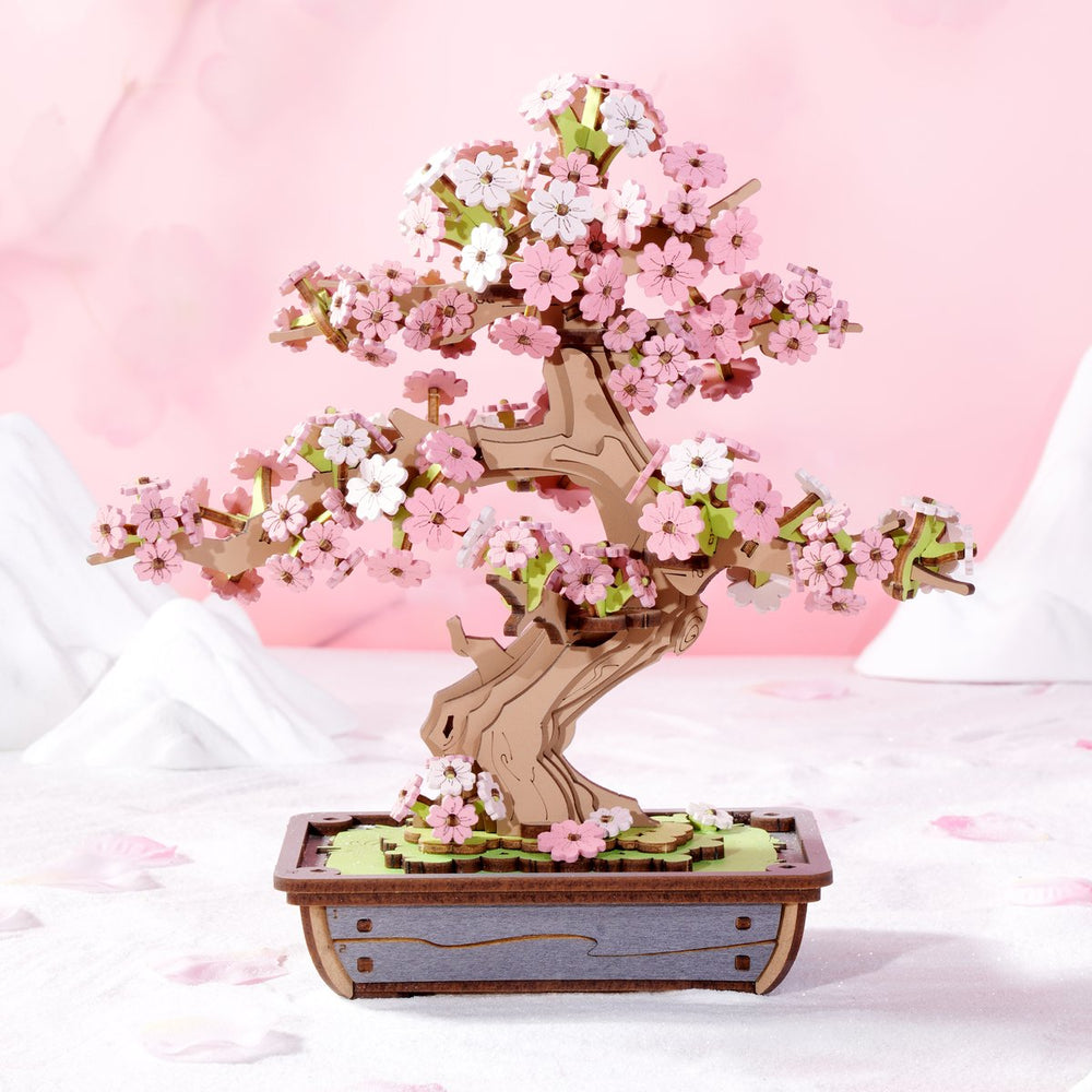 Sakura Bonsai