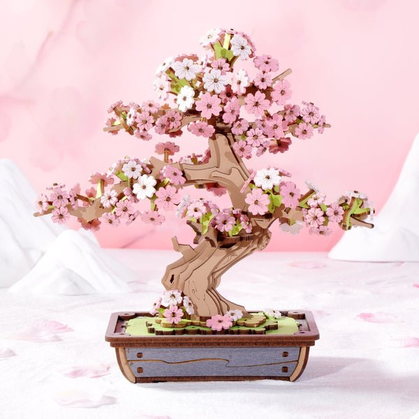 Sakura Bonsai