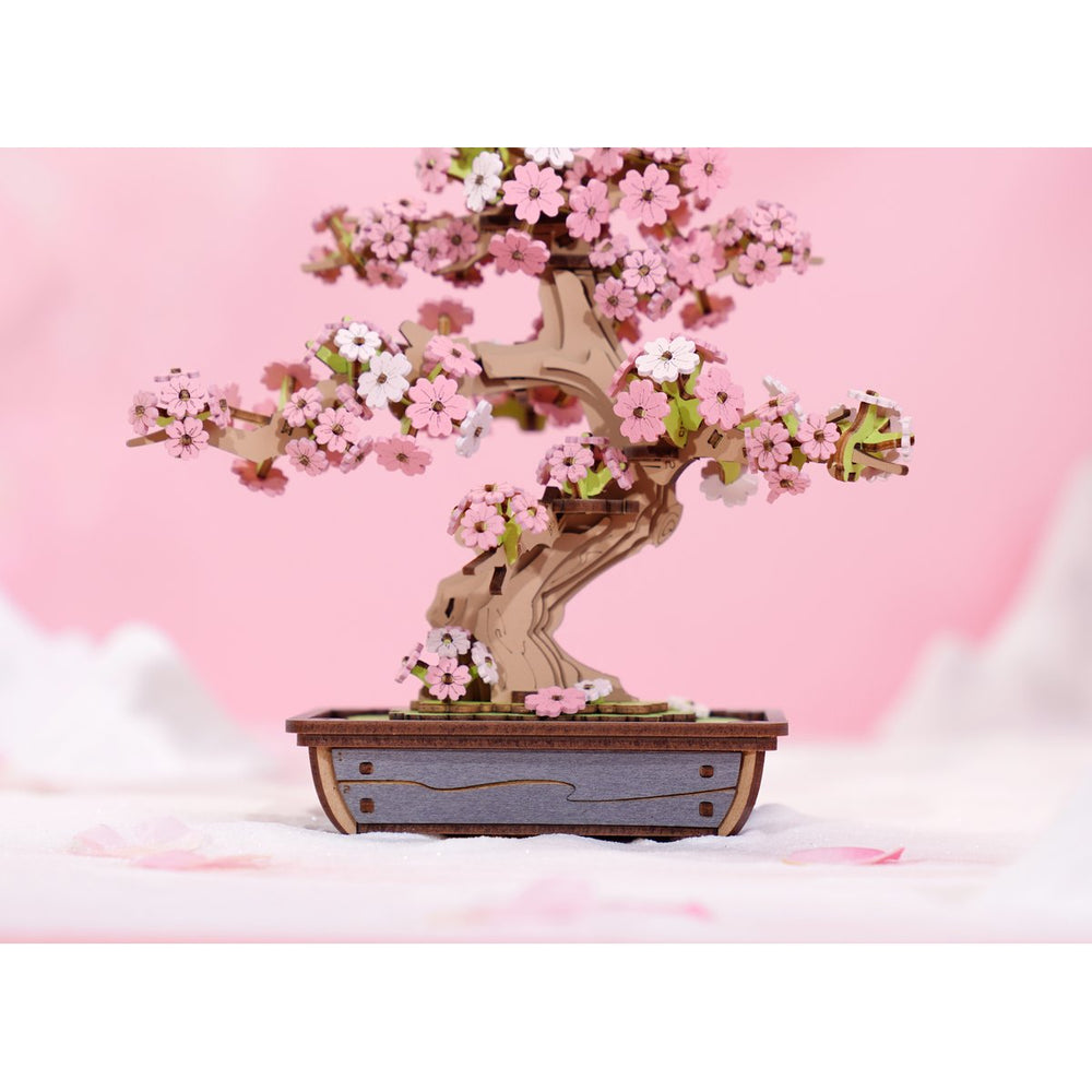 Sakura Bonsai