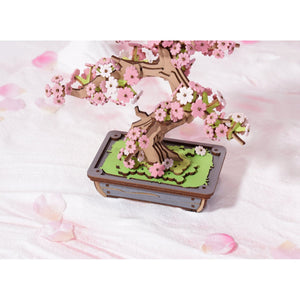 Sakura Bonsai