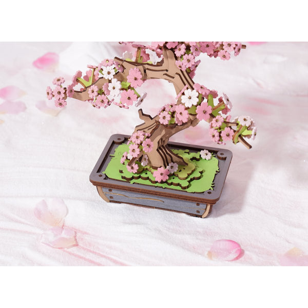 Sakura Bonsai