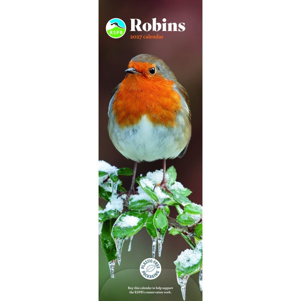 Robins Calendar 2027