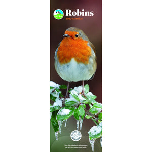 Robins Calendar 2027