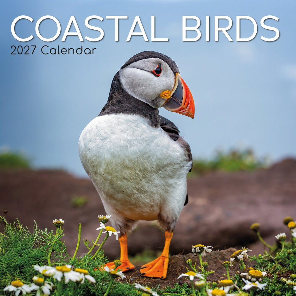 Coastal Birds 2027