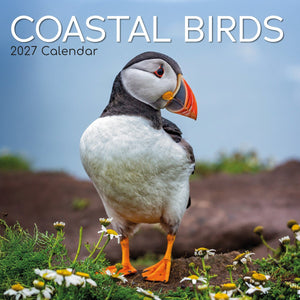 Coastal Birds 2027