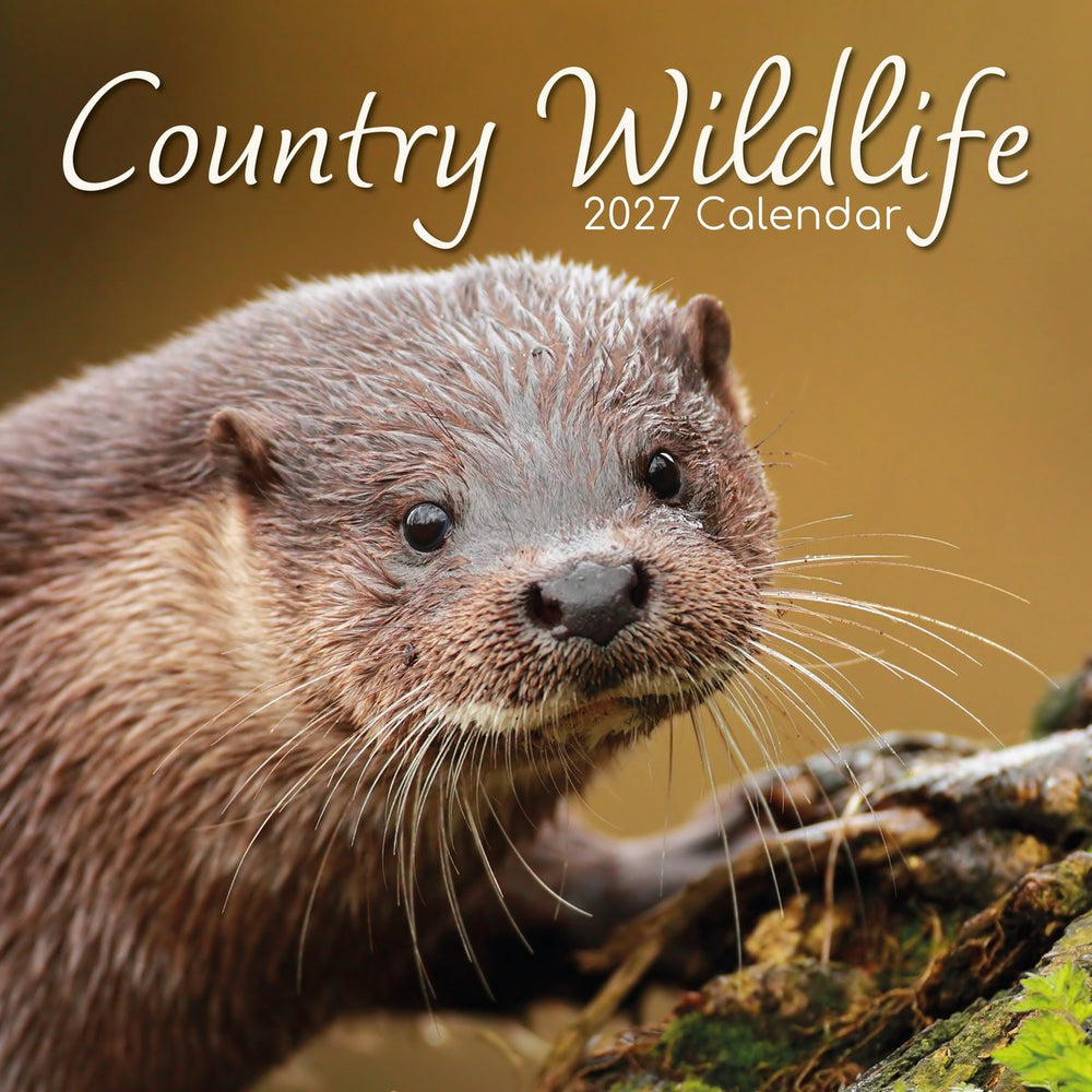 Country Wildlife 2027