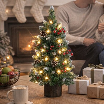 Snow Tipped Illuminated Tree