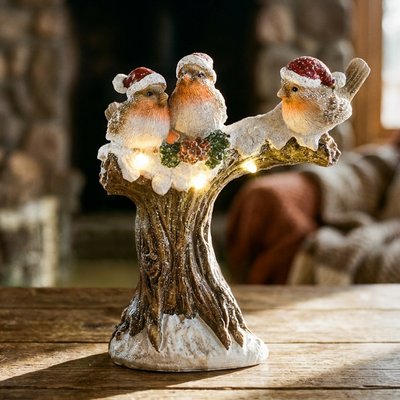 Winter Robin Friends