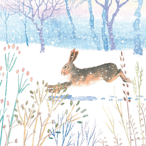 Wild Winter Cards
