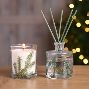 Winter Forest Gift Set