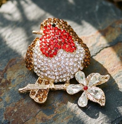 Red Red Robin Brooch