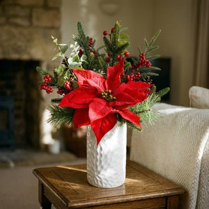 Red Poinsettia