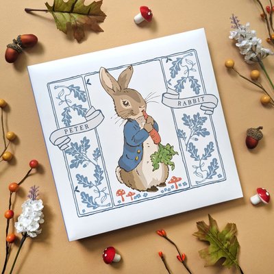 Peter Rabbit Photo Album Forest Picnic