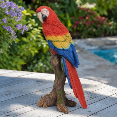 Scarlet Splendour Macaw