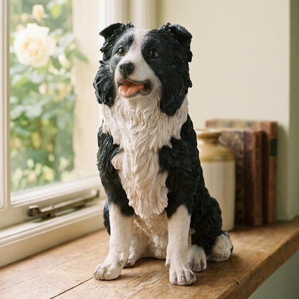 Sheepdog
