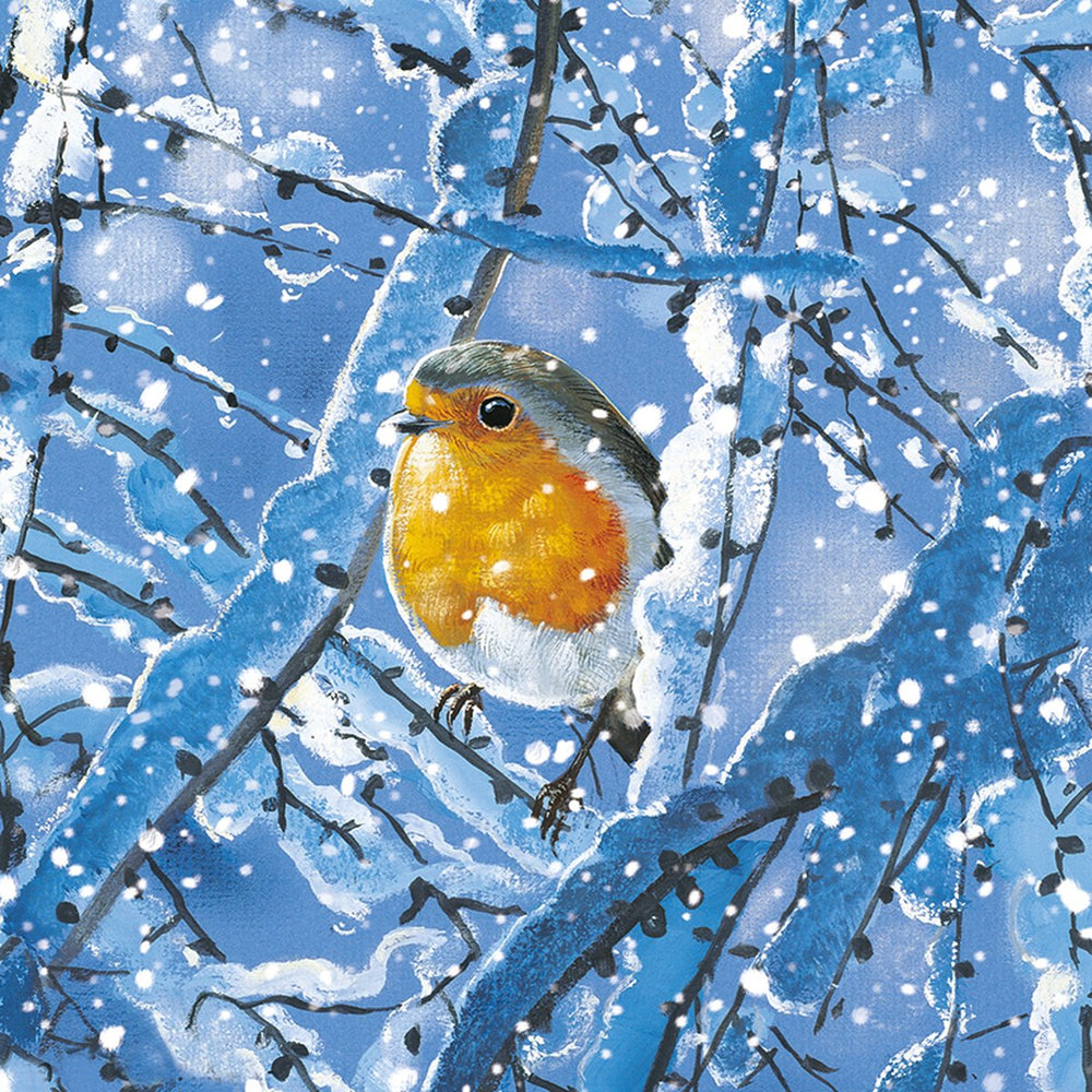 Winter Robins Saver Set