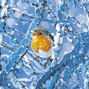 Winter Robins Saver Set
