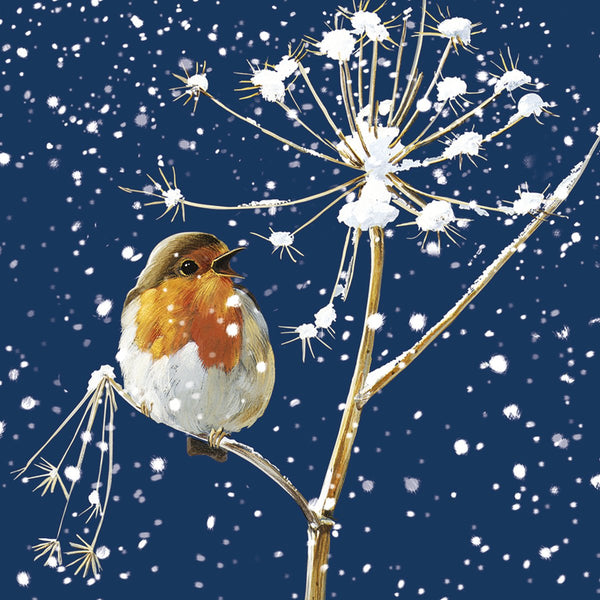 Winter Robins Saver Set