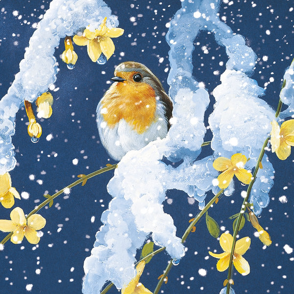 Winter Robins Saver Set