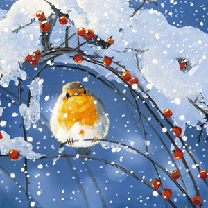 Winter Robins Saver Set