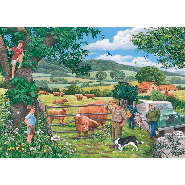 Roaming The Highlands - 4 x 500 Piece